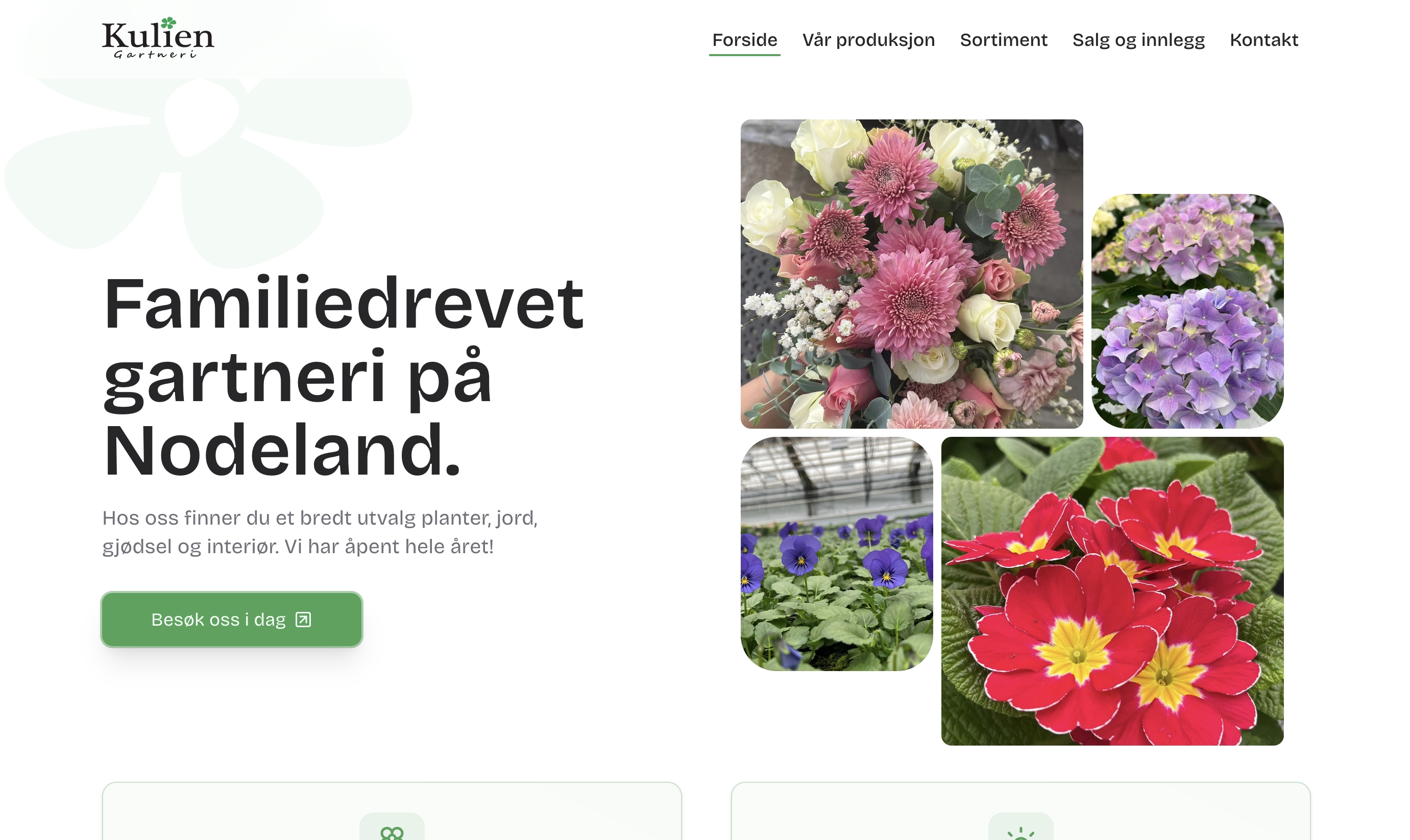 Kulien ANS